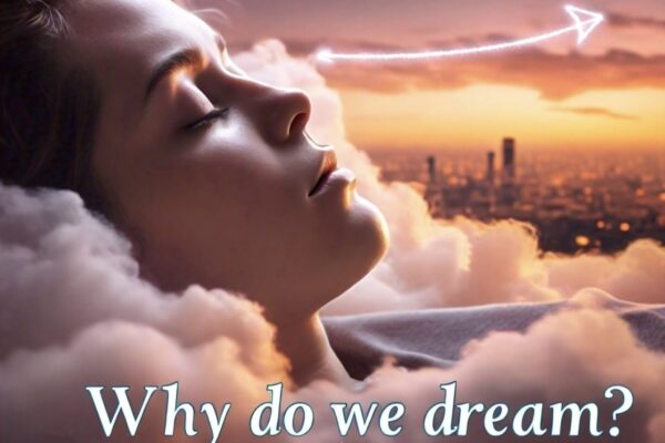 Why Do We Dream? Bombarding the Mystery of the Subconscious